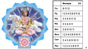 bav-shukra