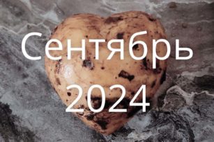 Сентябрь 2024