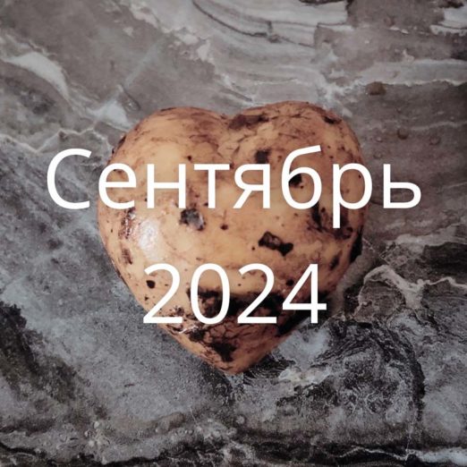 Сентябрь 2024