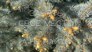 Занять свое место