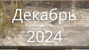 Декабрь 2024